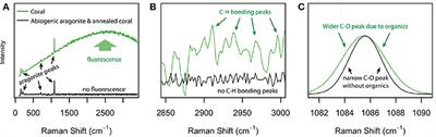 The Origin and Role of Organic Matrix in Coral Calcification: Insights From Comparing Coral Skeleton and Abiogenic Aragonite